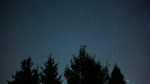 4k night Timelapse with starry sky over forest. Panning motion time lapse. Stock Footage 160245354