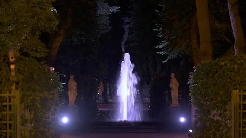 4k, night view fountain in Summer garden, Saint-Petersburg, Russia Stock Footage