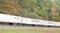 4K Norfolk Southern Freight Train at Horseshoe Curve 4 4k or 4k+ Resolution