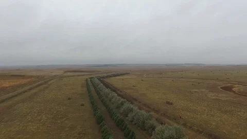 4K North Dakota Pheasant Hunting With Shotguns 10 스톡 동영상 125767341