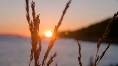 4K Norway - Ocean sunset Stock-Footage 93889709