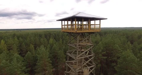 4K - Observation tower in the forest. scene01 Stock-Footage 94254564