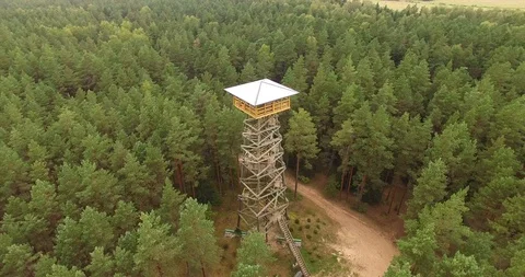 4K - Observation tower in the forest. scene02 Video stock 94254554