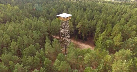 4K - Observation tower in the forest. scene03 Stock Footage 94276798