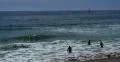 4K Ocean Waves 06 Venice Beach California 4k or 4k+ Resolution