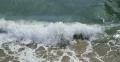 4K Ocean Waves 14 Venice Beach California 4k or 4k+ Resolution