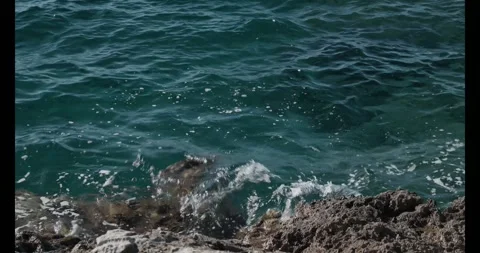 4K ocean waves hitting rocky coast Vidéo 317453526