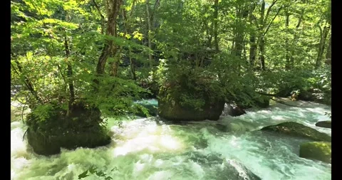 4K Oirase Gorge Mountain Stream in Aomori Japan Stock Footage 345339921
