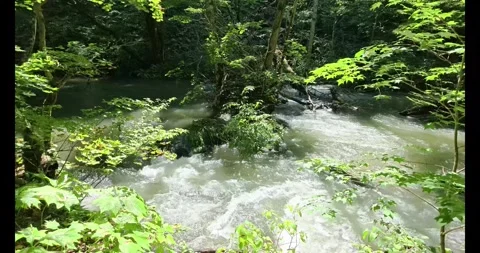 4K Oirase Gorge Mountain Stream in Aomori Japan Stock Footage 345339942