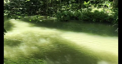4K Oirase Gorge Mountain Stream in Aomori Japan Stock Footage 345342909