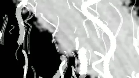 4k old doodle scratch waving Stock-Footage 259038524