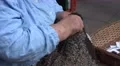 4k Old Madeira woman creating handcraft wool clothes 4k or 4k+ Resolution