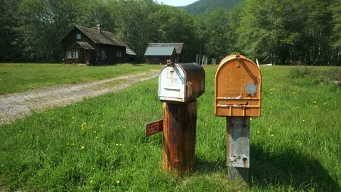 4K Old Mailboxes with Cabin in Woods Pollen Snowing Down Olympic National Park Stock Footage 109037008