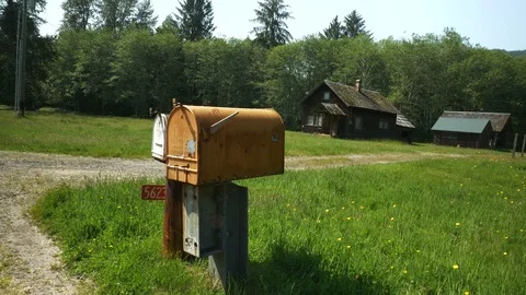 4K Old Yellow Mailboxes with Cabin in Woods Pollen Snowing Down Olympic NP Stock Footage 109037462