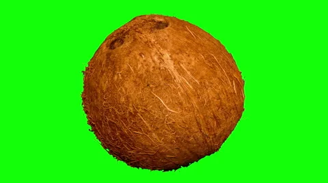 4k – One coconut 02 Stock Footage 56565649