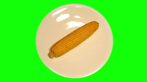 4k – One fresh boiled corncob on plate Stock Footage 56460233