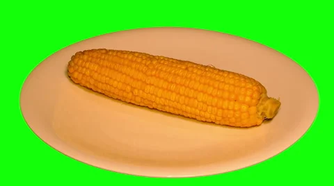 4k – One fresh boiled corncob on plate Stock Footage 57472312