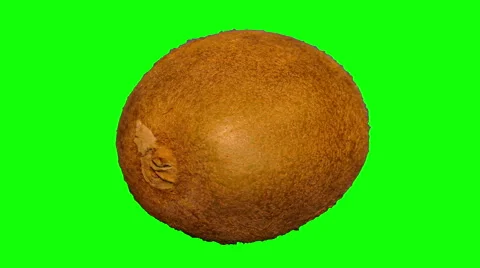 4k – One kiwi fruit Video stock 56564262
