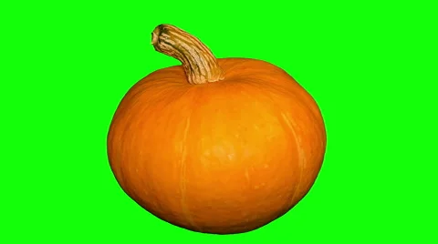 4k – One pumpkin Stock Footage 56566153