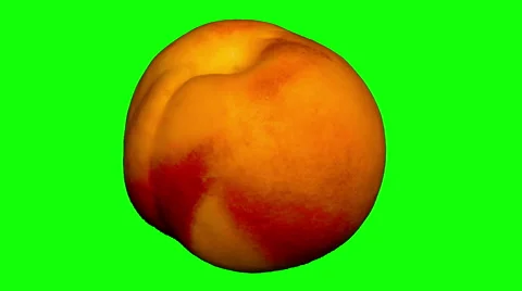 4k – One ripe nectarine Stock Footage 56729669
