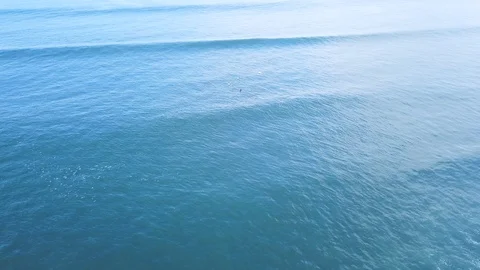 4K One surfer from a group standing up and riding a fun blue wave Stock Footage 115507070