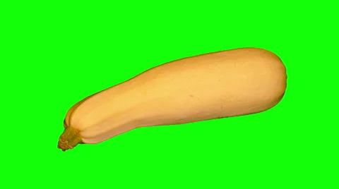 4k – One vegetable marrow Stock Footage 56730778