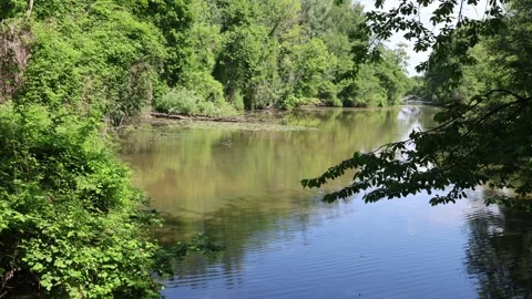 4K Oostrandpark 스톡 동영상 309636861