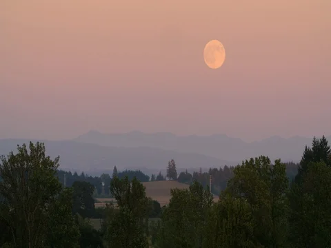 4K Orange moon in sunset sky with green trees Stock Footage 77575328