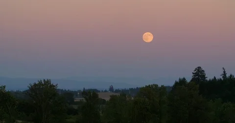 4K Orange moon in sunset sky with green trees 스톡 동영상 77575463