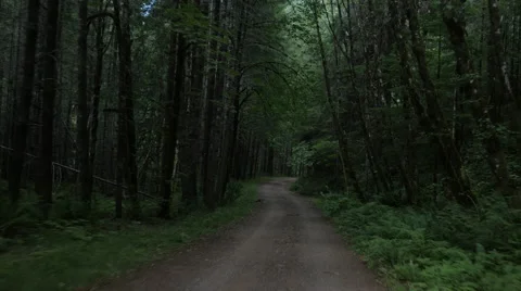 4K Oregon Forest Car Tracking 스톡 동영상 60372244