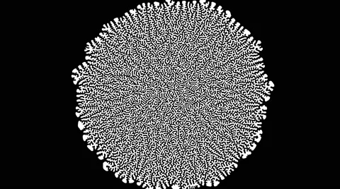 4k organic expanding mask, brain-like pattern filling entire screen growing Stock Footage 66829422