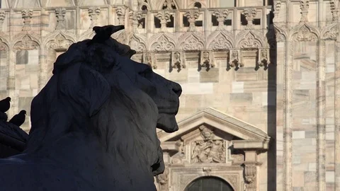 4K Ornamental Leon statue decoration in Milan central city cute pigeon bird fly Stock Footage