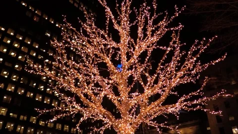 4K Outdoor Tree Decorated with Small Christmas Lights at Night Stock-Footage 332157917