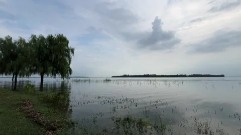 4K Overcast Lake Willow Tree Boater Suzhou Stock Footage 345639804