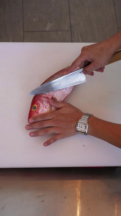4K overhead video chef cutting snapper filet with japanese knife part1- vertical Stock Footage 315124052