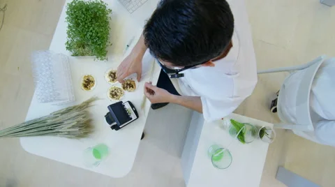 4K Overhead view of scientific research team analyzing food & plant samples Stock Footage