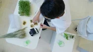 4K Overhead View Of Scientific Research Team Analyzing Food &Amp; Plant Samples Stock Footage