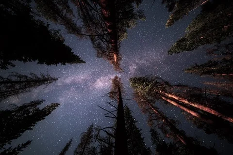 4K Overnight time lapse from hammock looking up at milky way, stars, night sky Stock Footage
