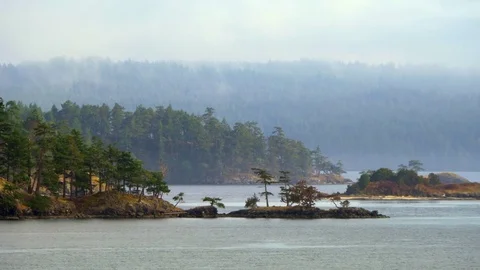 4K Pacific North West Coast Islands Vancouver Victoria BC Canada Gulf Ocean Park Stock Footage 80347453