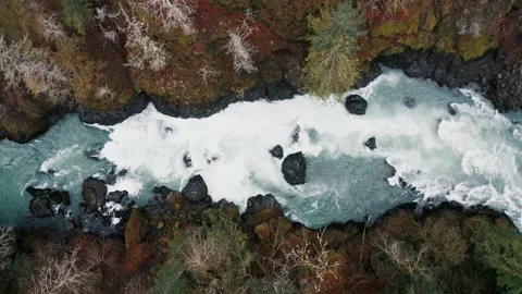 4k Pacific Northwest River Olympic National Forest Cinematic Drone Aerial Stock Footage 153939959