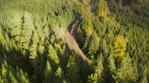4k Pacific Northwest Train In Forest Aerial Drone Stock Footage 154318826