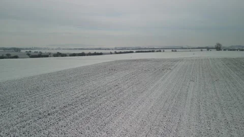 4K pack of deers in winter_5 Video stock 265656088