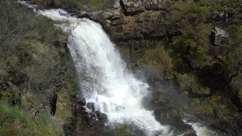 4k Paddy River Falls full view in a raging torrent 스톡 동영상 105484674