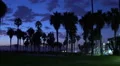 4K Palm Trees 08 Sunset Silhouettes Venice Beach California 4k or 4k+ Resolution