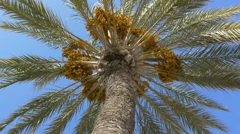 Sharp Sky Definition Stock Videos – Royalty-Free HD & 4K Videos | Pond5