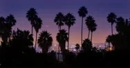 4K Palm Trees Silhouettes Over Night City Of Los Angeles, California. Timelapse. Stock Footage