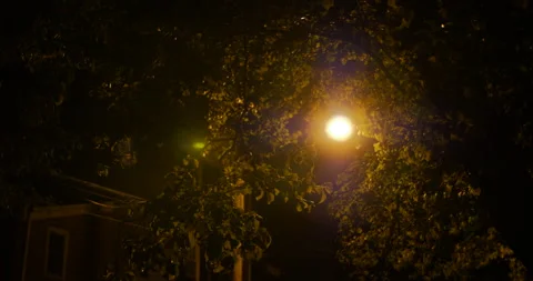 4K PAN ACROSS STREET LAMP IN TREES TO TILT DOWN OF BEAUTIFUL SUBURB HOUSE Stock Footage