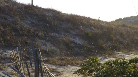 4K Pan of Beach Dunes With Weathered Fence 库存影片 109373390