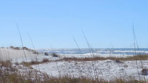 4K Pan of Ocean Beach Behind White Sandy Dunes Stock-Footage 109373488