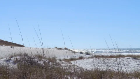 4K Pan of the Ocean Behind Wispy Dune Grass Video stock 109373436